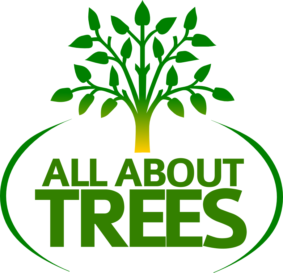 All About Trees – Tree Removal Services Gilbert