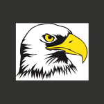 American Eagle Professional Services Inc