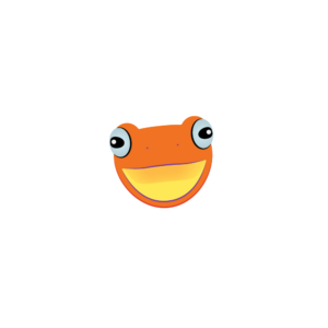 Flying Frog Car Wash