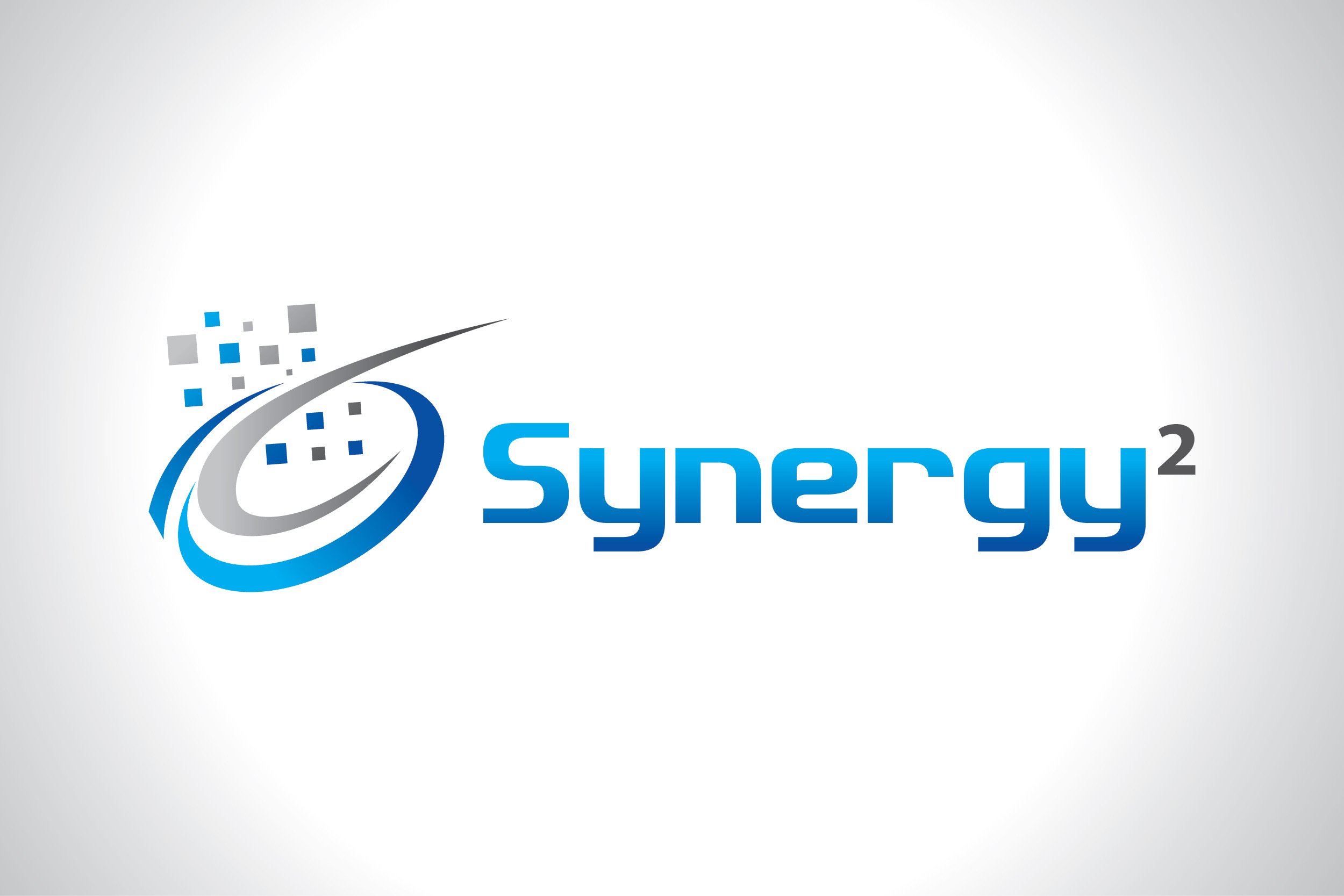 Synergy² Pest Control Service