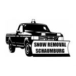 Snow Removal Schaumburg