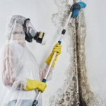 Phoenix Mold Remediation - Mold Containment & Removal