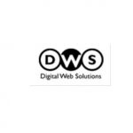 Digital Web Solutions (P) Ltd