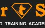 Super Smart Dog Training Academy