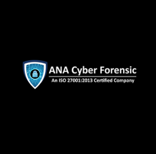 ANA Cyber Forensic