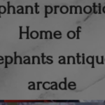 3 Elephants Antiques Arcade