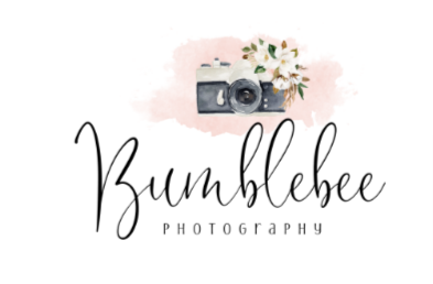 Bumblebee Photography