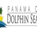 Panama City Dolphin Seafari Tours